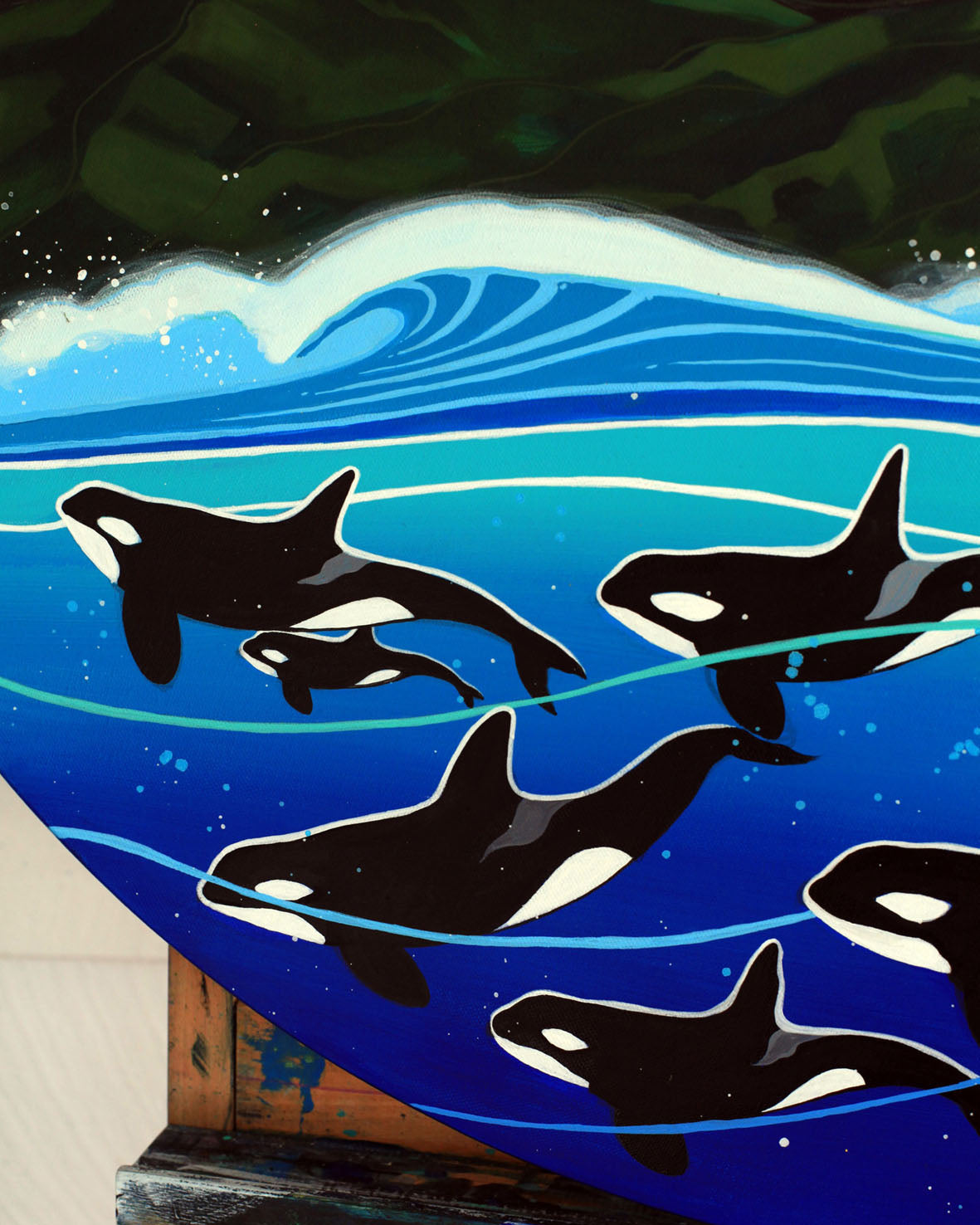 Orca Highway