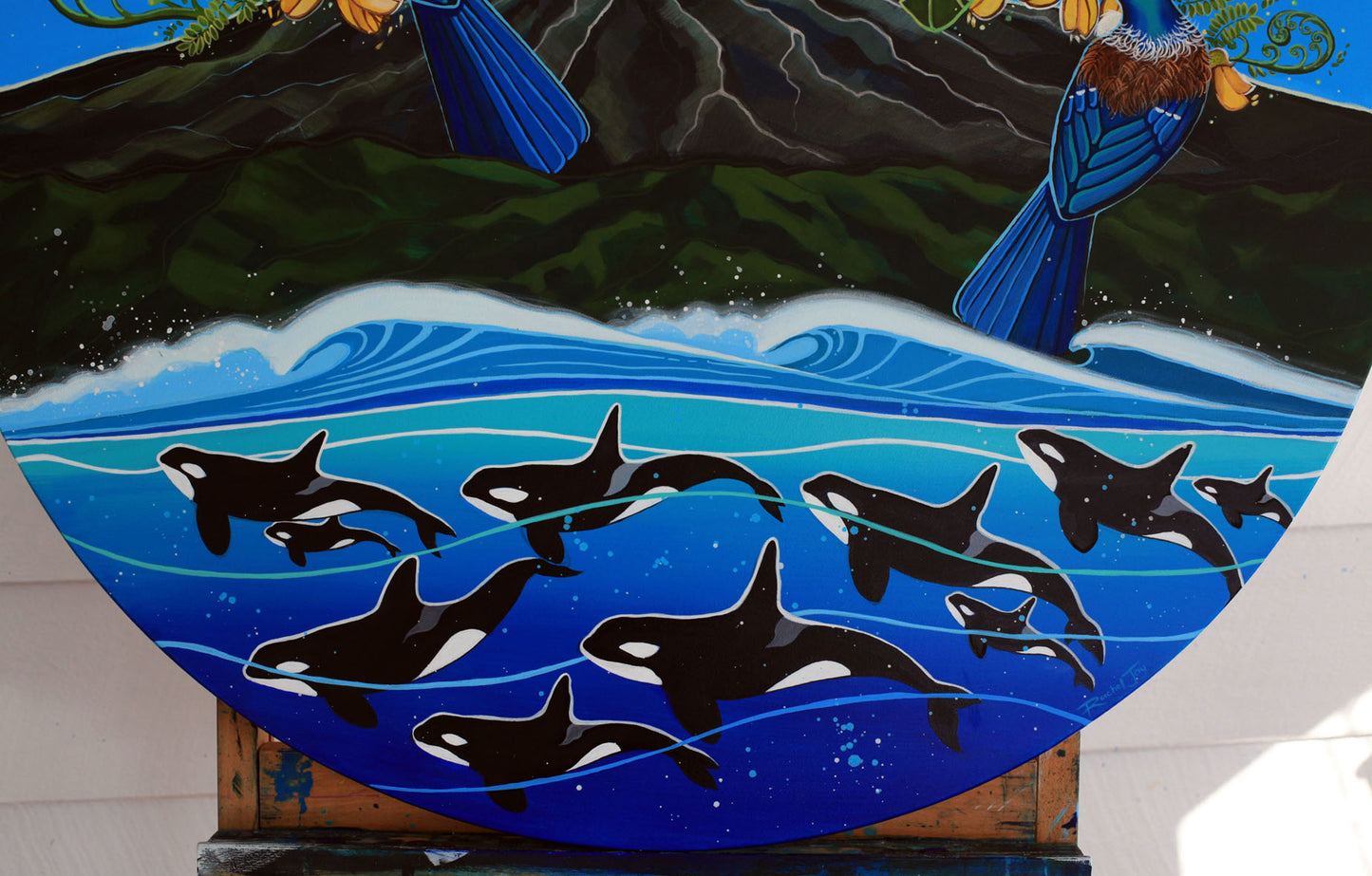 Orca Highway