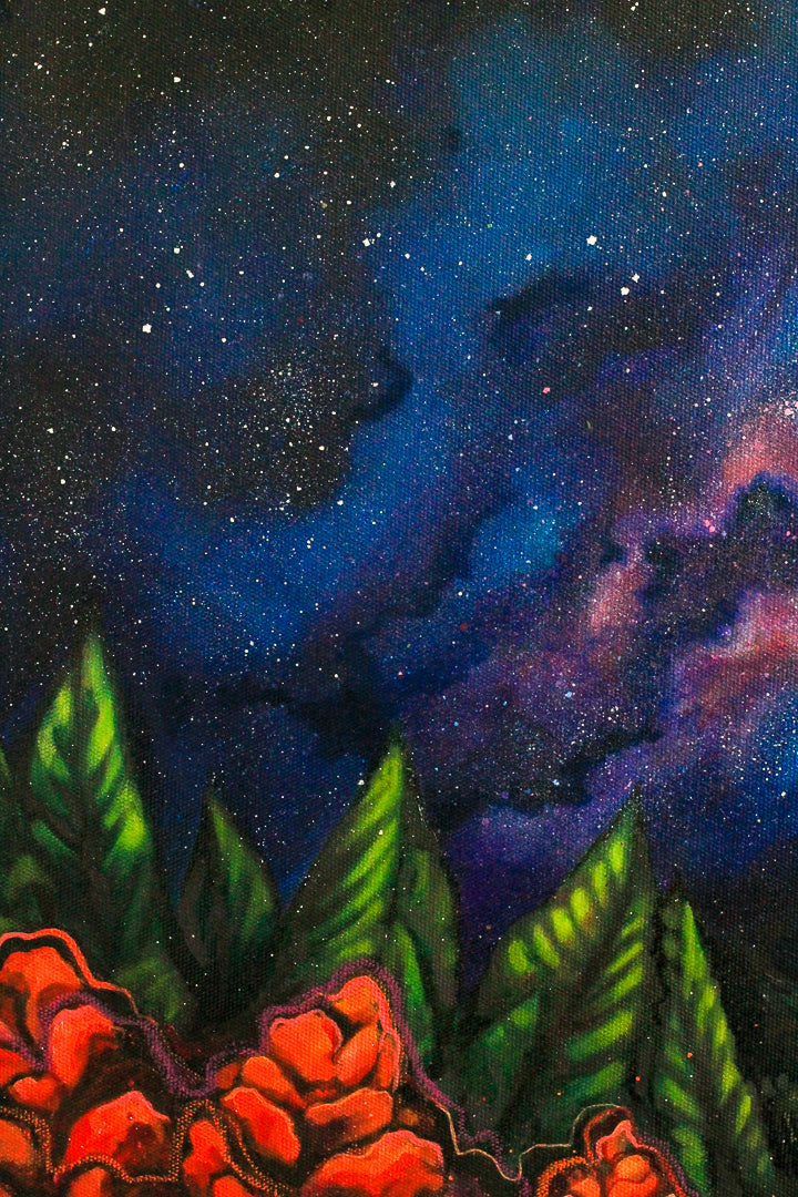 Autumn Aurora