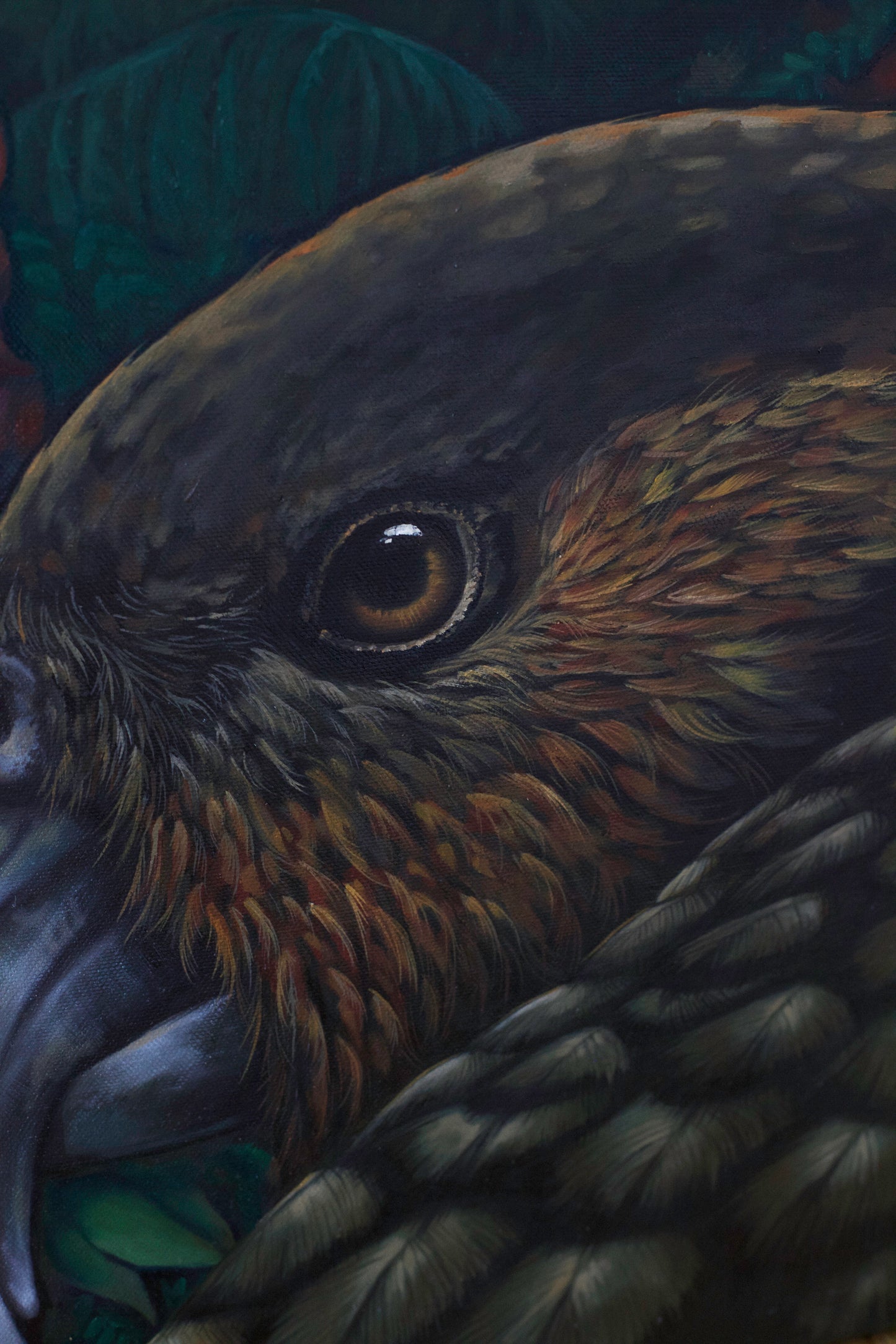 Night Kākā