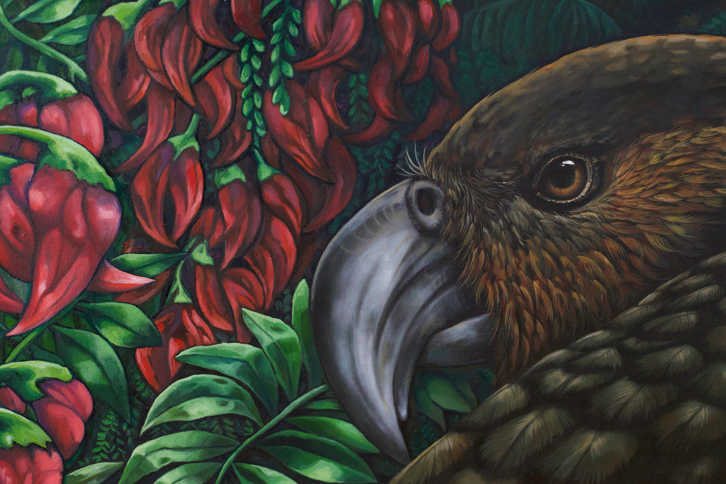 Night Kākā