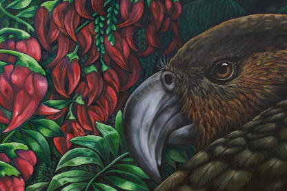 Night Kākā